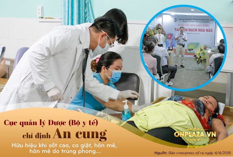Tác dụng an cung ngưu hoàng hoàn được chứng mình bằng các thực nghiệm